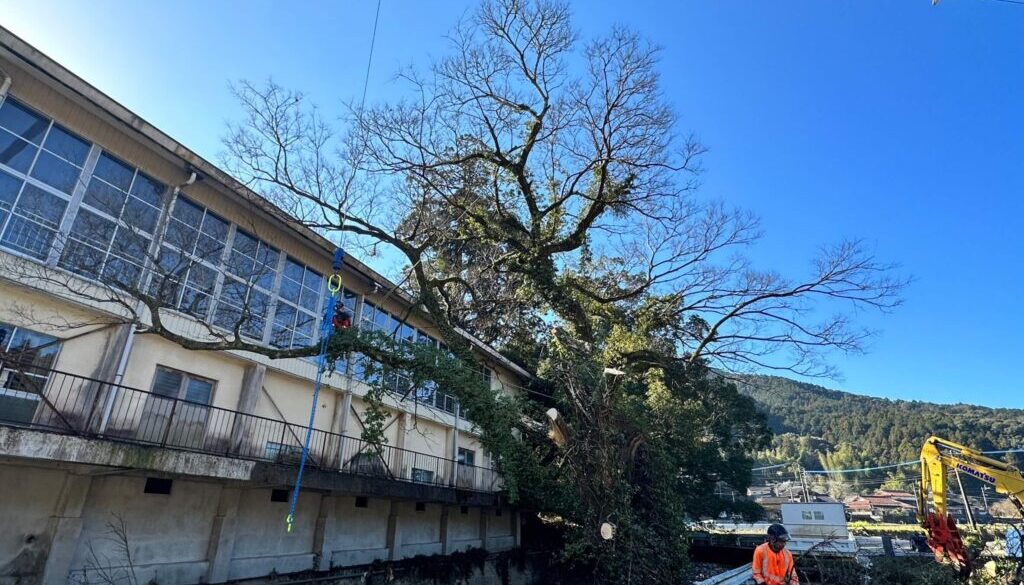 LINE_ALBUM_上野工業　八代市坂本町_230311_18